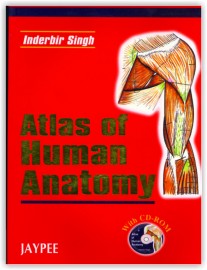 Atlas of Human Anatomy