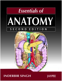 Essentials of Anatomy