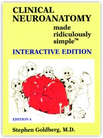 Clinical Neuroanatomy Made Ridiculously Simple