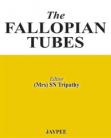 The Fallopian Tubes